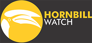 Hornbill Watch